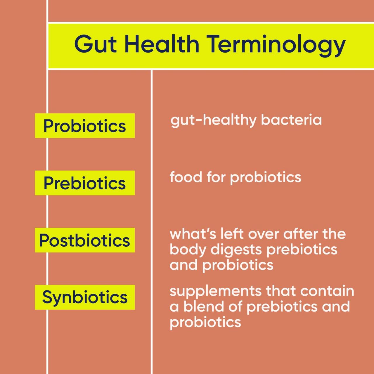 INNOVATION ISSUE: Everything You Need to Know about Gut Health Innovations