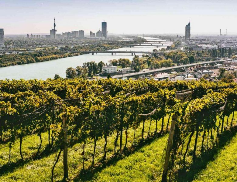 Heading to Vienna? Here Are All of the Places You Should Be Checking Out